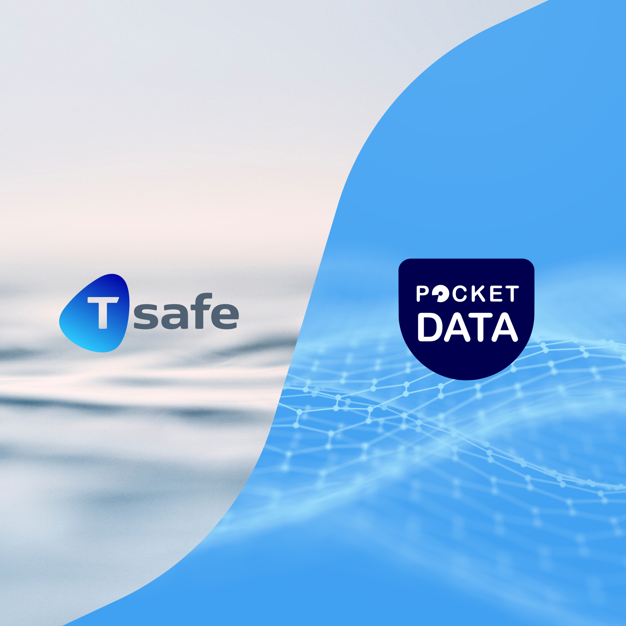 T-safe announces strategic investment in Pocket Data Ltd